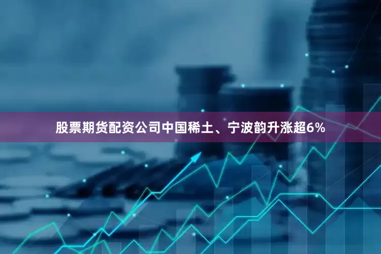 股票期货配资公司中国稀土、宁波韵升涨超6%