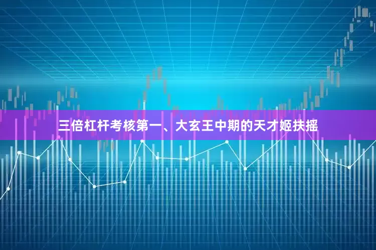 三倍杠杆考核第一、大玄王中期的天才姬扶摇